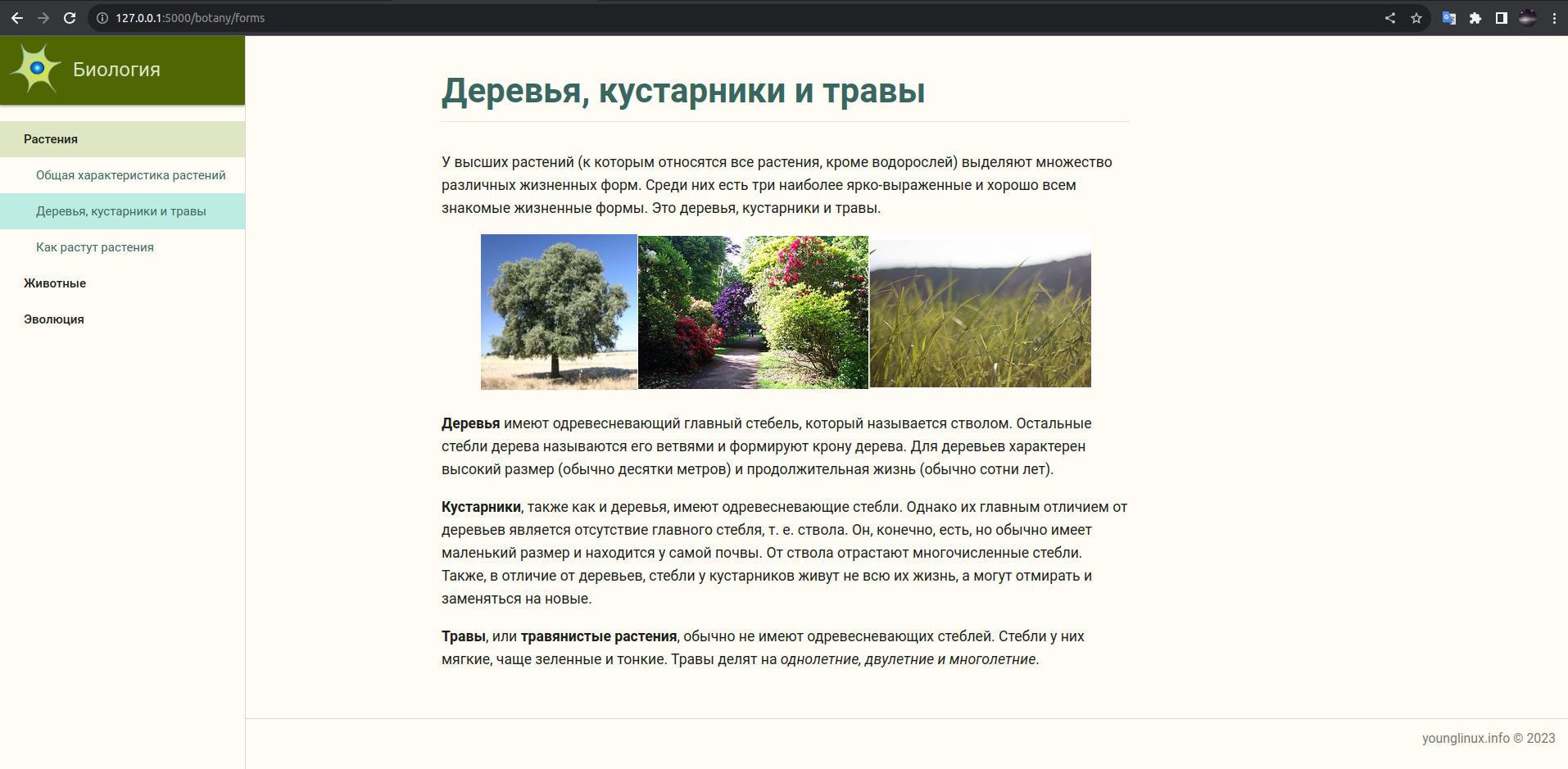 Вид сайта на Flask