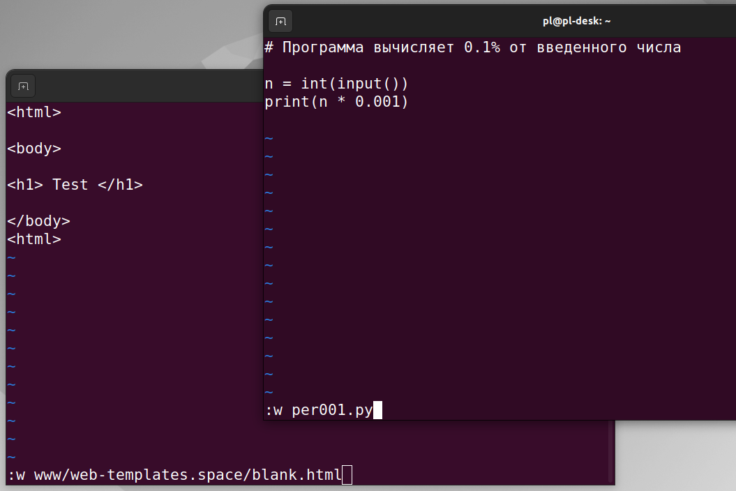 Сохранение файла в Vim
